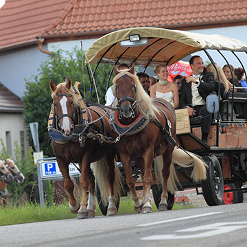 Hochzeitsgesellschaft fährt feiern. Hochzeit in Neustadt.