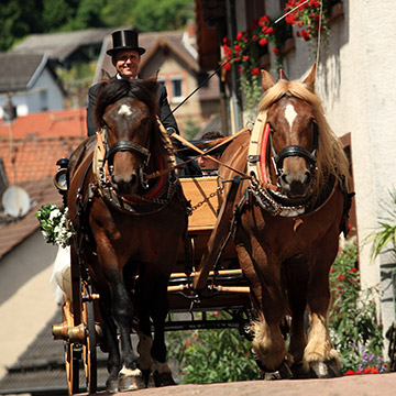 Das Hochzeitskutche. Hochzeit in Neckarsteinach.